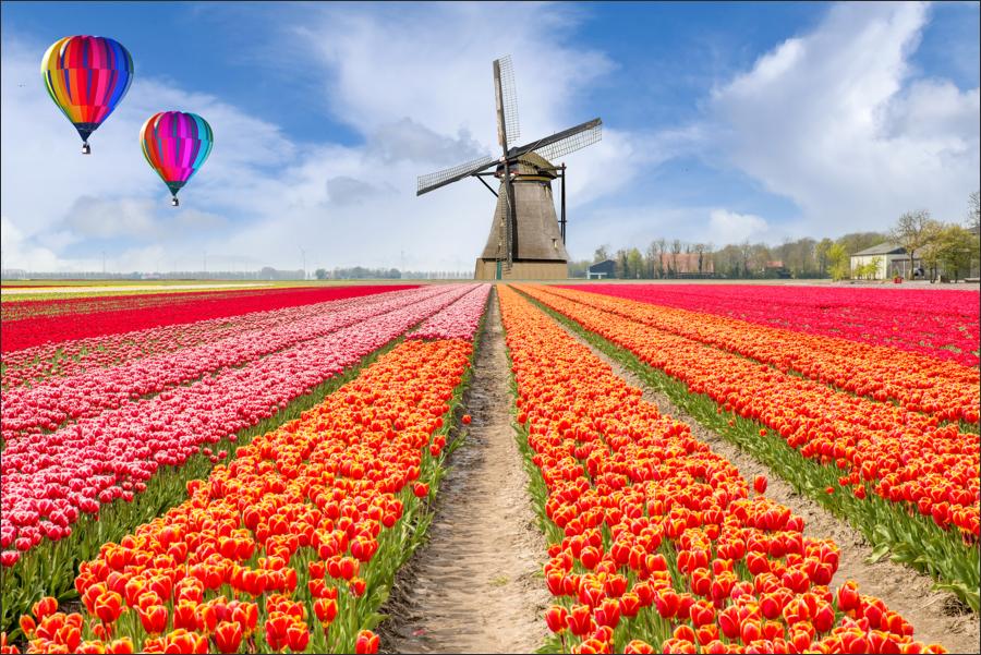There's a lot more to Amsterdam than just tulips | Amsterdam Travel Guide