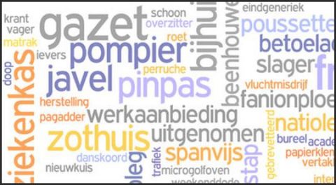 The Dutch Language