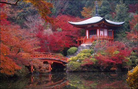 Discovering the Beauties of Kyoto