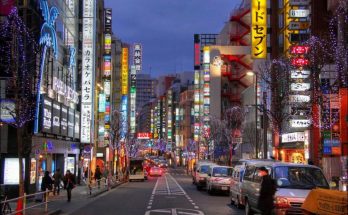 Tokyo is unique–the result of its peculiar evolution
