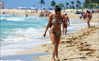 Miami Beach: A perfect tourist center for entire nation