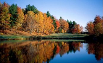 One Fine Day in Vermont River Landscape