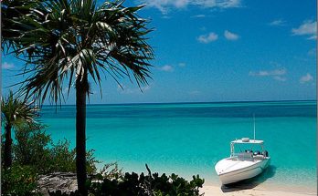 Nassau & Bahamas with Palm Trees