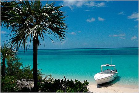 Nassau & Bahamas with Palm Trees