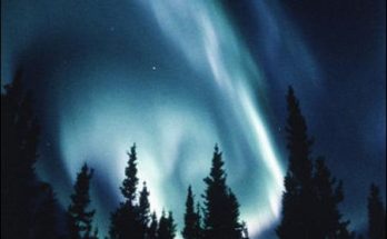 Northern Lights in Blue Night Sky