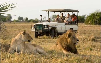 Safari Time in Kenya