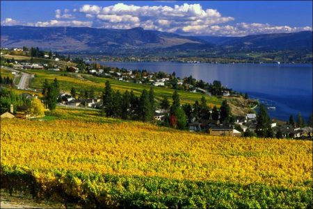 One Fine Day in the Okanagan Valley, Canada