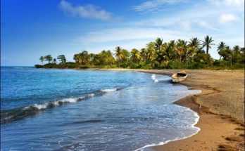 Why and when to travel to Jamaica