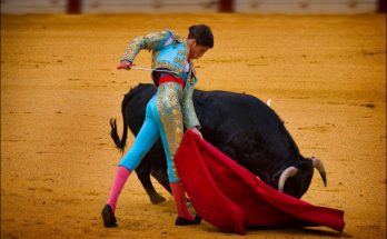 Matadors and Bullfighting in Spain