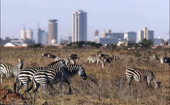 Introducing Nairobi, the capital of Kenya