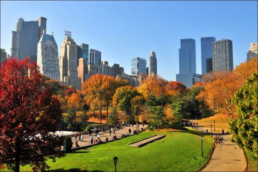 Five must-see places in New York - Central Park