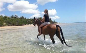 Mozambique offers luxury escapes with horses